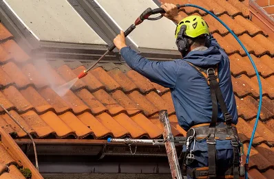 Démoussage et hydrofuge de toiture à Génolhac